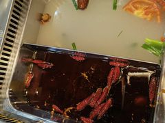 -晓林火锅(安定门店)