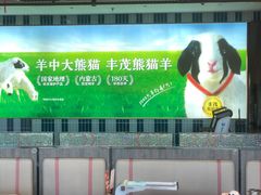 -丰茂烤串(公园店)