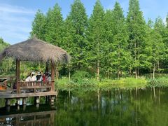 -大莲湖农家乐(青西郊野公园店)