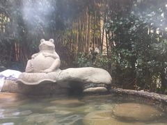 -天目湖涵田半山温泉