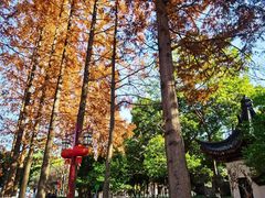 -郑和公园
