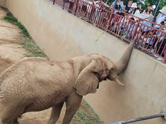 -西霞口神雕山野生动物世界