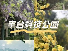 -丰台科技园生态主题公园