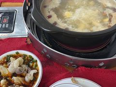 -花苑美食横琴生蚝火锅(拱北粤华路店)