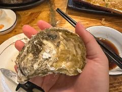 -土蚝·高压锅生蚝(百姓美食街店)