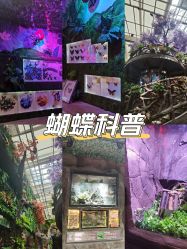-欢乐舟·舟舟玩乐园