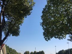 -苏州园区站