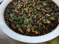 来凤鱼-瓦房兔(璧山店)