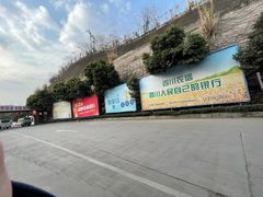 -胡世羊肉汤(南街店)