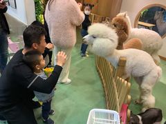 -藦茜花园宠物主题亲子互动体验馆(国顺东路店)