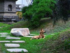 -龙华寺