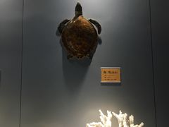 -福州罗源湾海洋世界旅游区