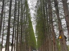 -平乐古镇