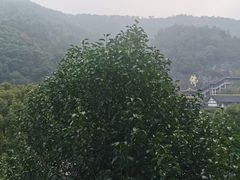 -余姚阳明温泉山庄