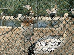 -红海滩国家风景廊道