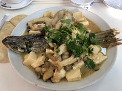 家常狗鱼-煲来饱去冷水鱼