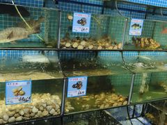 -范饭椰林川湘味海鲜·椰子鸡(三亚湾椰梦长廊店)
