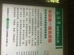 龙湾潭国家森林公园-龙湾潭国家森林公园
