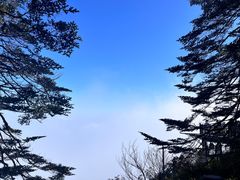 -瓦屋山景区