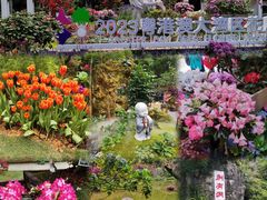 -深圳仙湖植物园