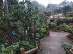-楠柏弯休闲山庄(梨花溪店)