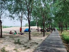 -东郊湿地公园