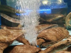 -阿伟海鲜楼·福建菜(延寿店)