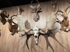 -陕西自然博物馆