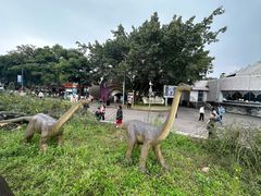 -自贡恐龙博物馆
