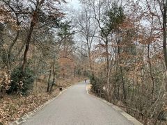 -紫金山山顶公园