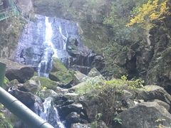 -藏龙百瀑风景区