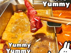 -九鼎轩脆毛肚火锅(南京东路店)