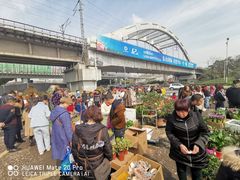 -三圣花乡旅游区