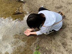 -碓臼峪自然风景区