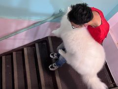 -宠匠·爱宠堡 PET CASTLE