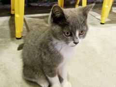 android_upload_pic-MIKAKU(万达广场上海宝山店)