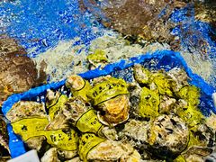 -高佳庄·舟山海鲜(海景旗舰店)