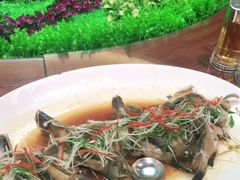 -园林宾馆·鸿运楼(越山路店)
