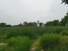 -梁鸿国家湿地公园