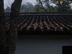 -法云安缦酒店