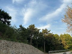 -红光山