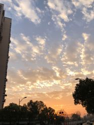 -浙江大学医学院附属妇产科医院(湖滨院区)