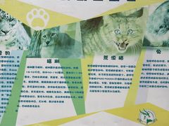 -青藏高原野生动物园