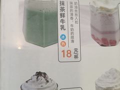 -喵园·猫主题咖啡厅·撸猫·猫咖(国贸店)