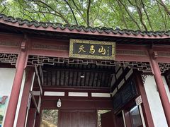 -上海佘山国家森林公园天马山园