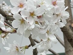 -山东省千佛山医院