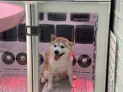 -FAELING PETS美天灵宠物(合生汇店)