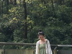 -南山植物园