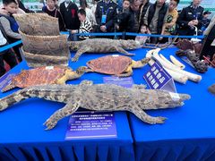 -南宁国际会展中心