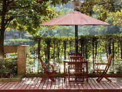 -榕树上·瑜伽普拉提